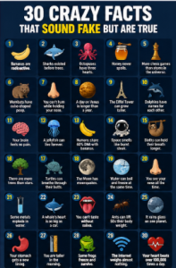 weird but true facts infographic
